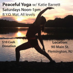 yoga, flemington diy